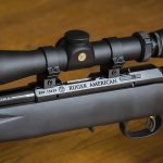 TOP 5  .22 Magnum Rifles for Precision Hunting