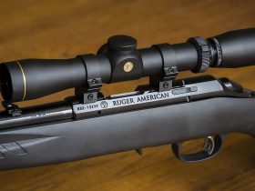 TOP 5  .22 Magnum Rifles for Precision Hunting