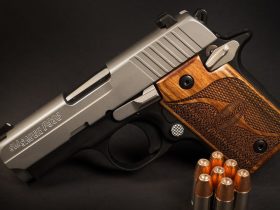 6 Hottest Pocket Pistols You Need in 2024