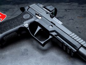 5 Best CCW From Sig Sauer In 2024 – 4 Are Not P365s!