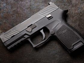 5 Best SIG Sauer Pistols for Concealed Carry