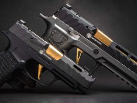 My Top 5 Sig Sauer Pistols (That You Need To See)