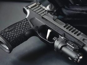 Best SIG Sauer Pistols for Concealed Carry [Tested & Reviewed]