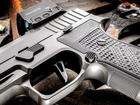 Deep Dive To The 5 Best Metal-Framed Semi-Auto Pistols In 2024