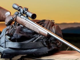 5 Best .22 LR Precision Rifles for Precision Shooting & Hunting