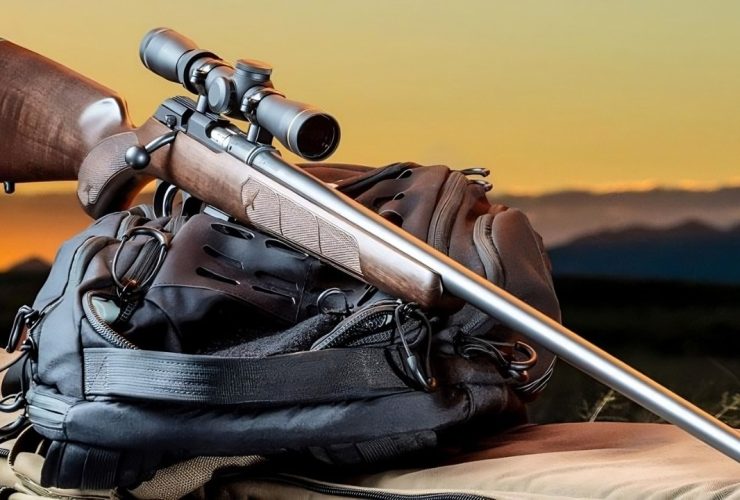 5 Best .22 LR Precision Rifles for Precision Shooting & Hunting