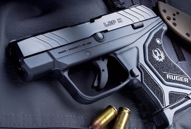 5 Guns That Could Take 2024 by Storm– Get Yours Now!