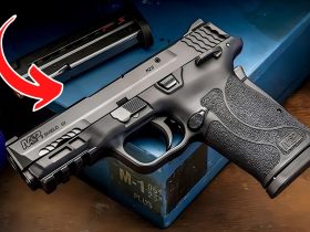 5 Best Subcompact Guns for Everyday Carry in 2024