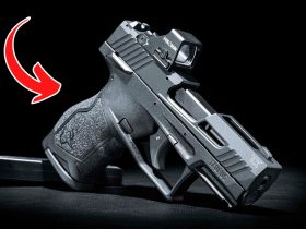 The Best 22 LR Handguns And Rifles For 2024 | Rimfire Goodness!