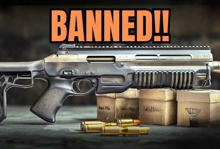 5 Guns The Government Doesn’t Want In Your Hands