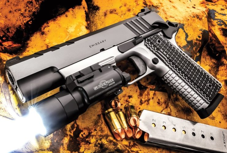 5 Must-Have Guns Before 2025!