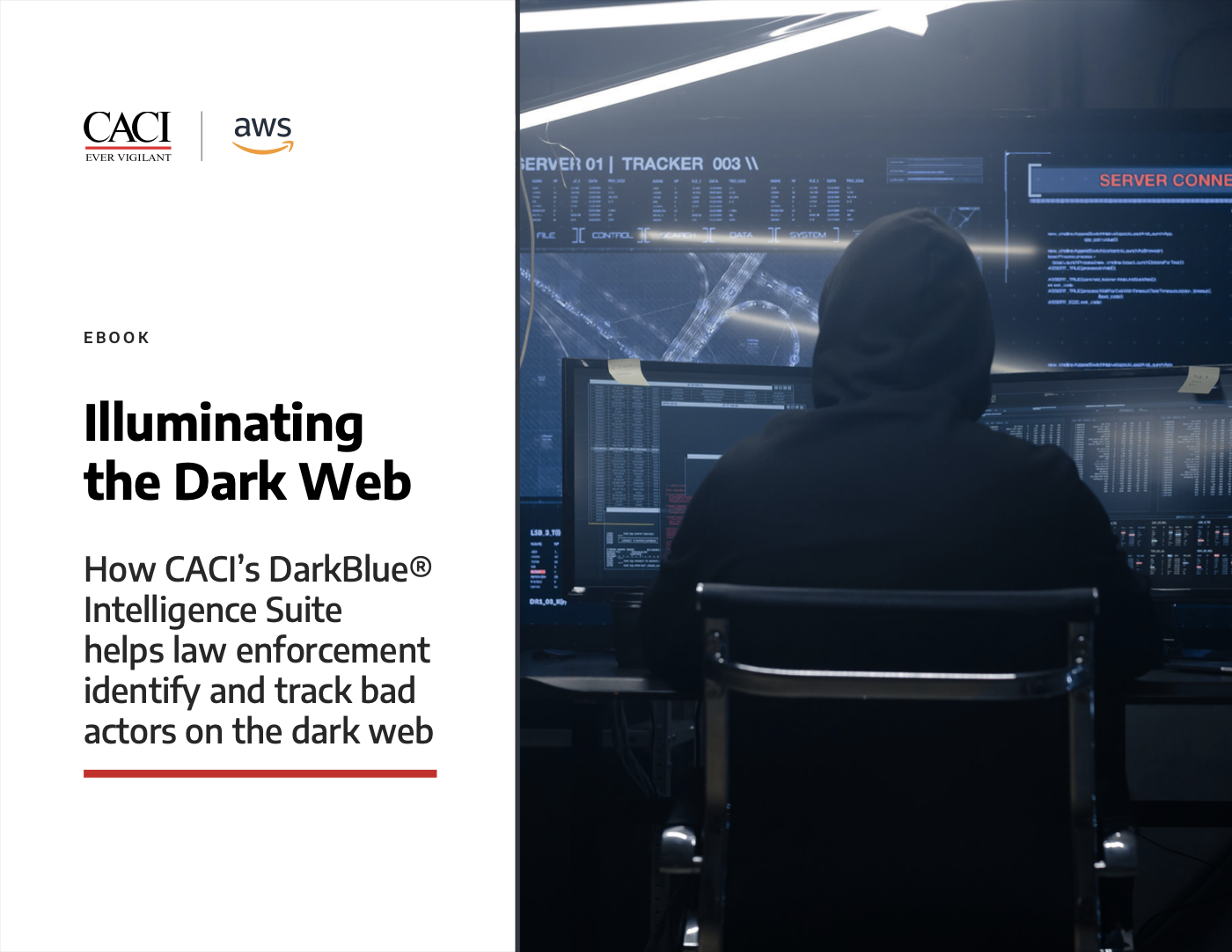 Illuminating the Dark Web