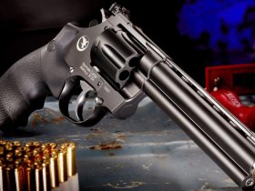 .357 Magnum.. What NO ONE is Telling You!