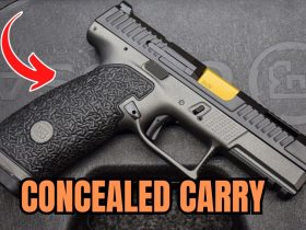 TOP 5 Best Concealed Carry Guns For Beginners in 2025