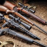 22 LR Rifles: What You Need To Know Before Buying One