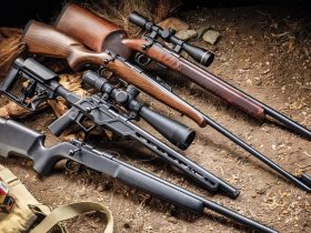 22 LR Rifles: What You Need To Know Before Buying One