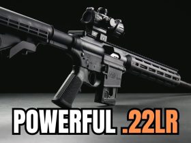 5 Most POWERFUL .22 Caliber Guns on The Planet