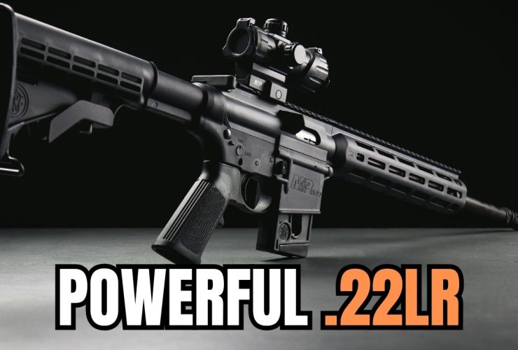 5 Most POWERFUL .22 Caliber Guns on The Planet