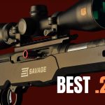 TOP 5 Best .22LR Rifles: The Most Accurate .22 Rifles 2024