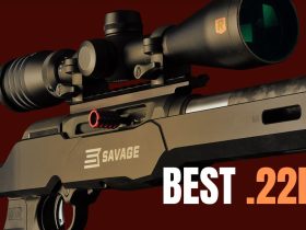 TOP 5 Best .22LR Rifles: The Most Accurate .22 Rifles 2024