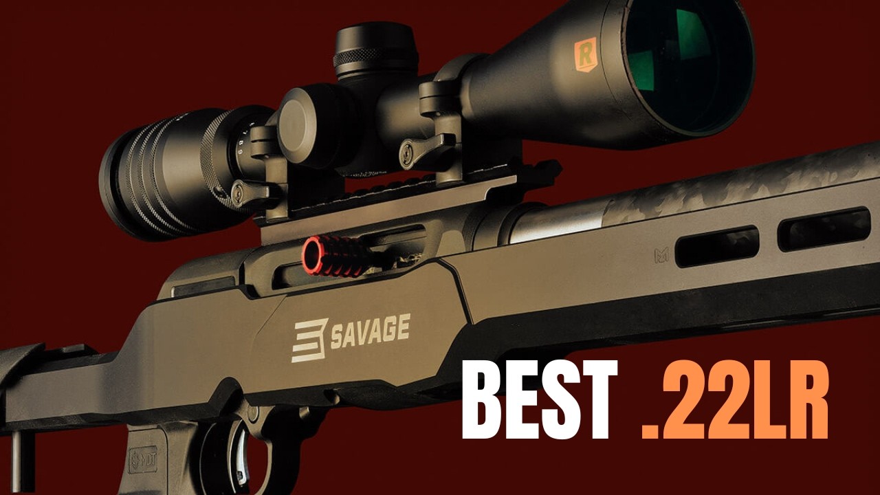 TOP 5 Best .22LR Rifles: The Most Accurate .22 Rifles 2024