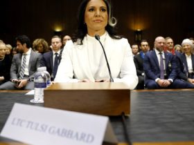 Senate confirms Tulsi Gabbard as Trump’s intelligence chief