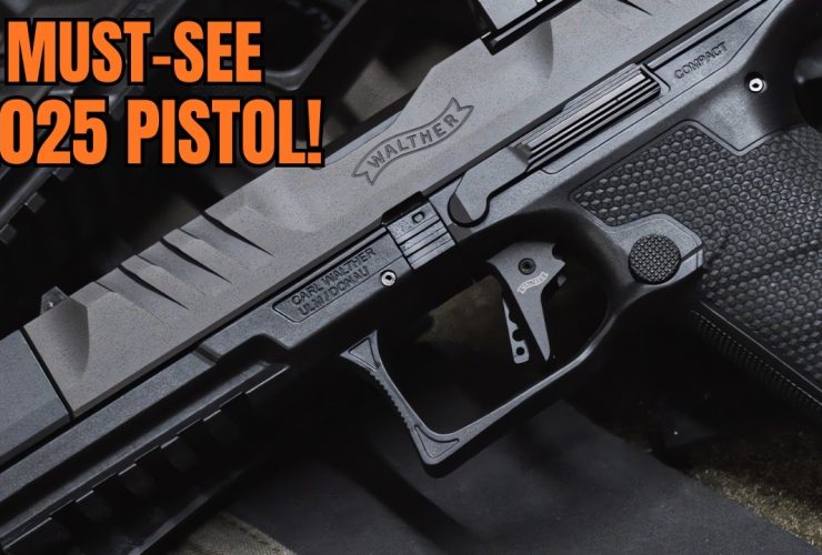 2025 New Handguns Released (BRAND NEW 2025 PISTOLS)