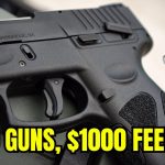 Top 5 Guns Under 0 – These Feel Like 00 Guns!