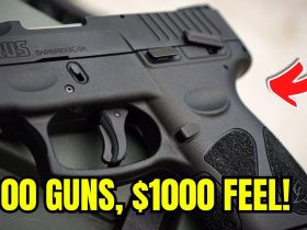 Top 5 Guns Under 0 – These Feel Like 00 Guns!