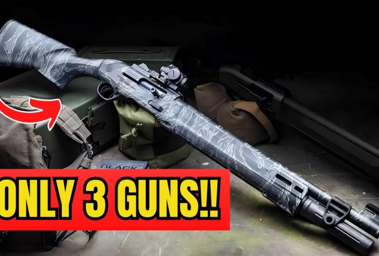 If I Could Only Keep 3 Guns for 2025, Here Are What I’d Bet My Life On