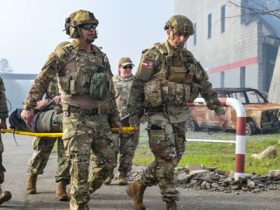 State defense forces can fill a homeland gap