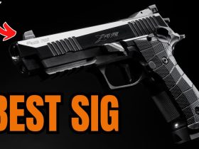 Top 5 SIG SAUER Guns That Will Dominate Market 2025