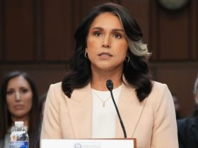 US spy chief fires intelligence leaders who disputed Trump’s Venezuela-gang claims