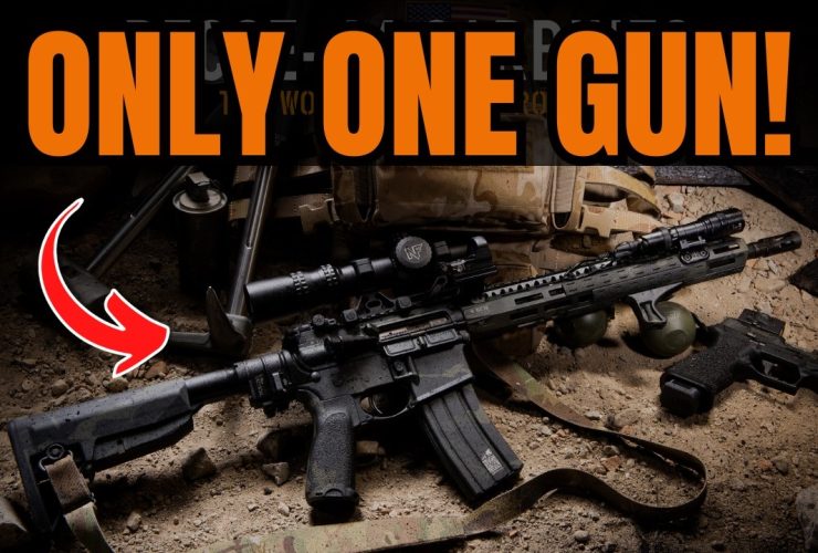 Only One Gun? Make It THIS Rifle!