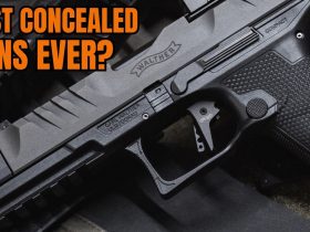 These 7 Concealed Carry Guns Handle Like Full-Size, Duty Pistols!