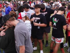 Is gun violence depressing military recruiting?