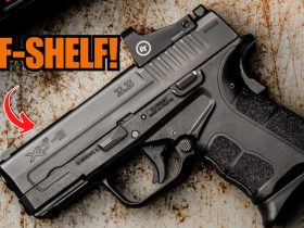 Get These 5 Handguns This 2025 Before They’re Completely Off-Shelf!