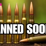 BIG Shortage INCOMING: 7 Calibers Every Gun Owner Should Stock in 2025!