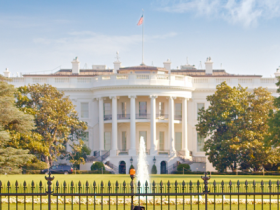 Navigating the Priorities of a New Administration