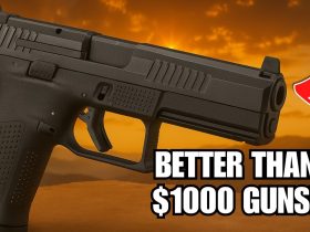 4 UNDER 0 Guns That BETTER Than 00 Guns!