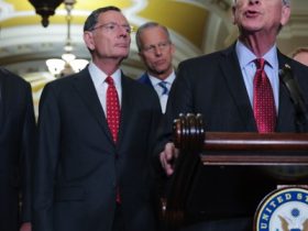 ‘Fund first, ask questions later’ is a bad way to go