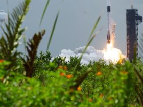 Trump aims to foster space industry by cutting environmental regulation
