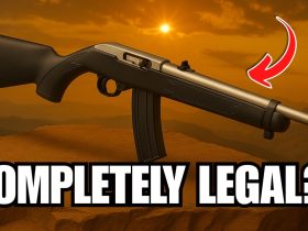 10 Guns You Can Legally Get WITHOUT a Background Check – No FFL Required!