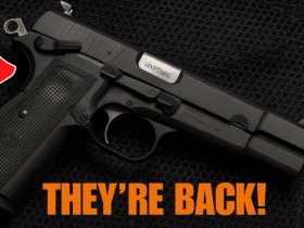 8 Forgotten Guns Making a HUGE Comeback!