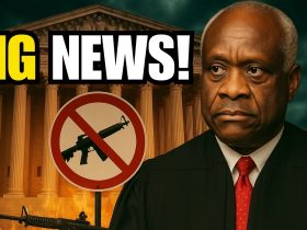 SHOCK RULING: Court Just Changed Everything for AR-15 Owners!