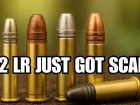 The Deadliest .22 LR Rounds You Can Buy in 2025