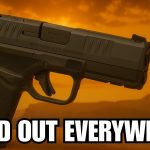 Sold Out Everywhere: The Guns Americans Are Rushing to Buy
