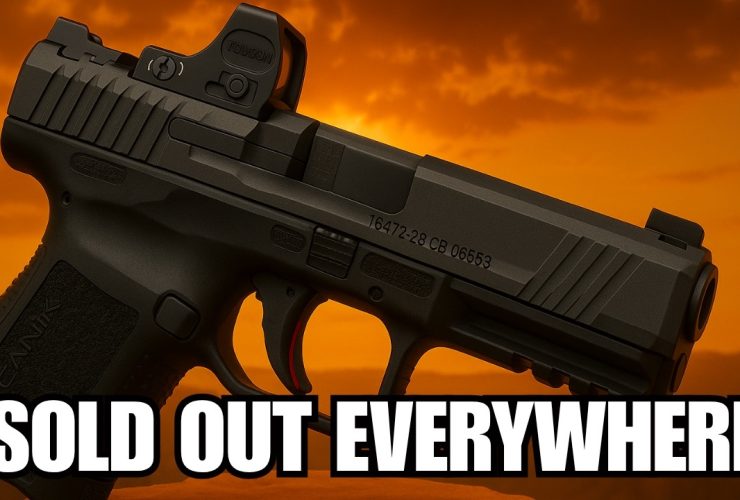 9 Pistols Selling Out Fast in 2025 | Gun Stores Can’t Keep Up!