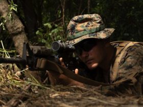 Marine Corps axes plan for third littoral regiment, ready to move on medium landing ship Marine Corps axes plan for third littoral regiment, ready to move on medium landing ship