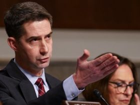 Pentagon’s policy shop is a ‘Pigpen-like mess’: Sen. Cotton Pentagon’s policy shop is a ‘Pigpen-like mess’: Sen. Cotton